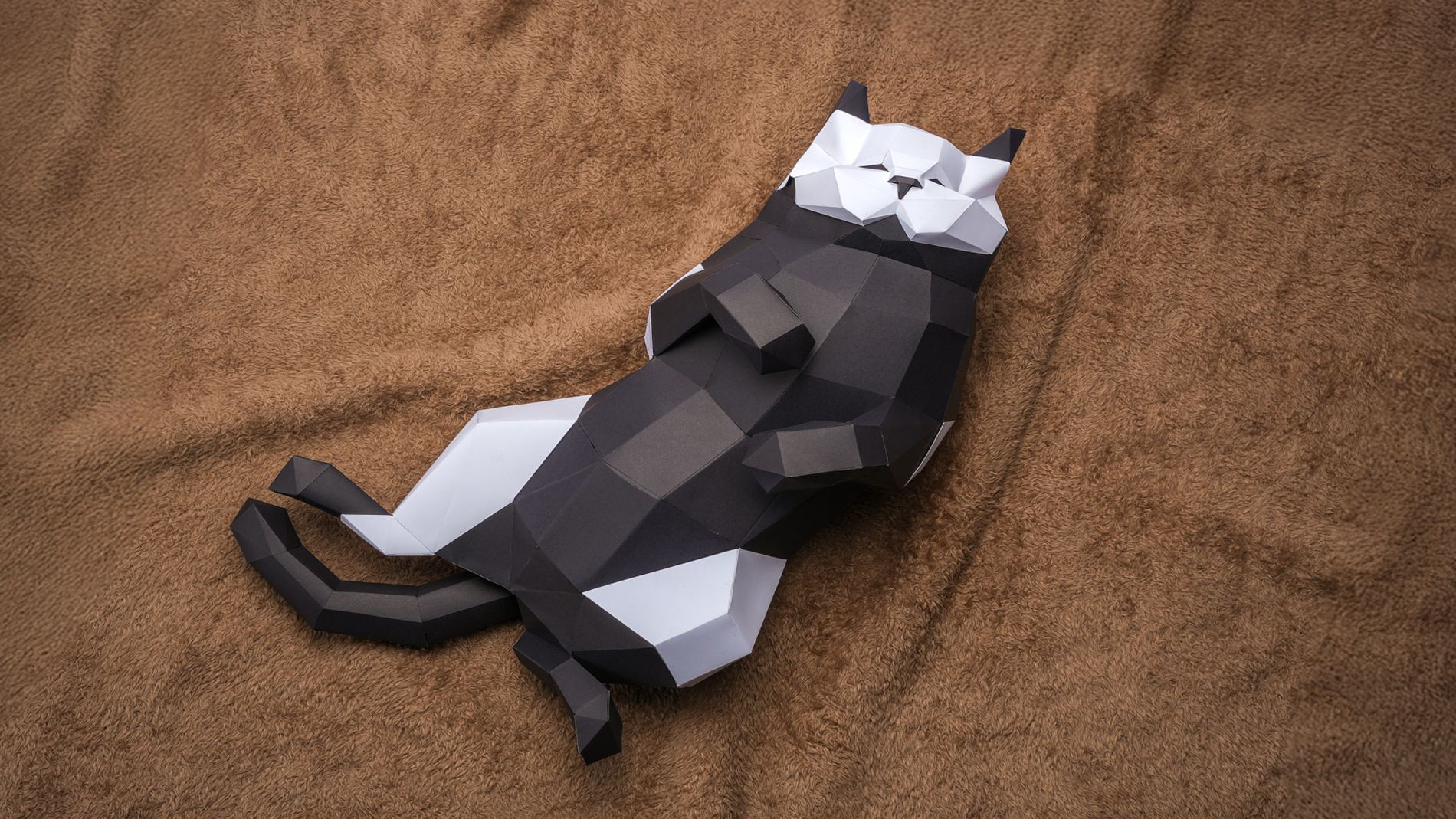 H2D ile kesilmiş geometrik kedi modeli