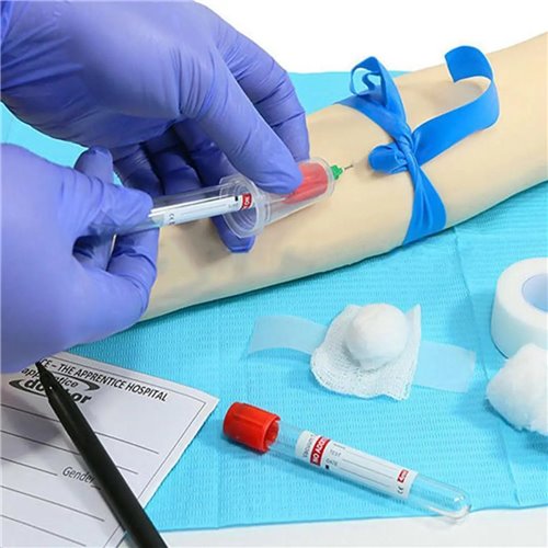 IV Uygulama Kolu Flebotomi Damar Girişi Kol Uygulaması Yetişkin Damar